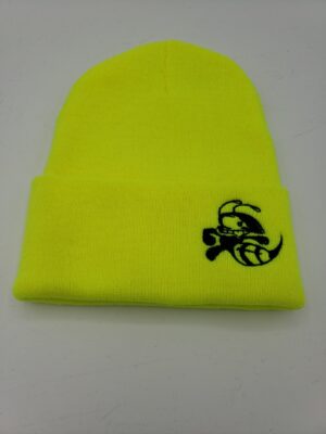 Discraft Beanie disc golf disc front view