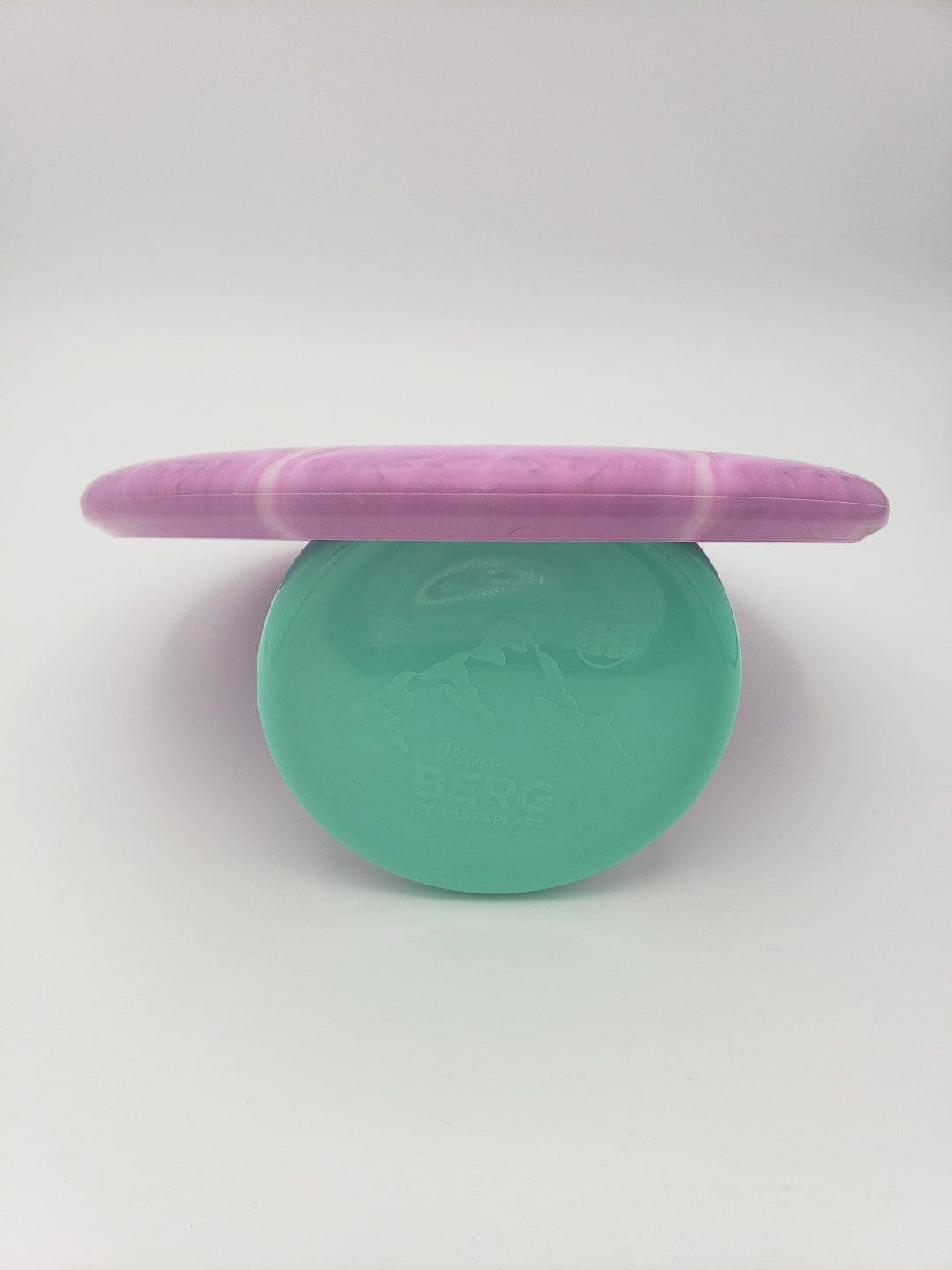Dynamic Discs Deputy disc golf disc back view
