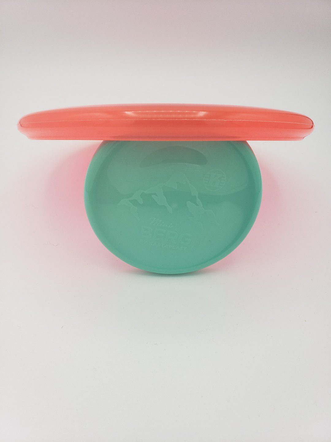 Dynamic Discs Judge premium plastics disc golf disc back view