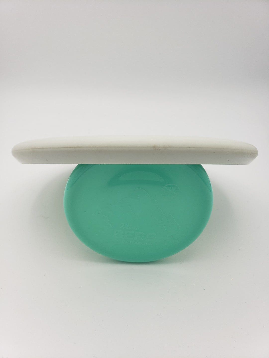 Dynamic Discs Warden classic plastics disc golf disc back view