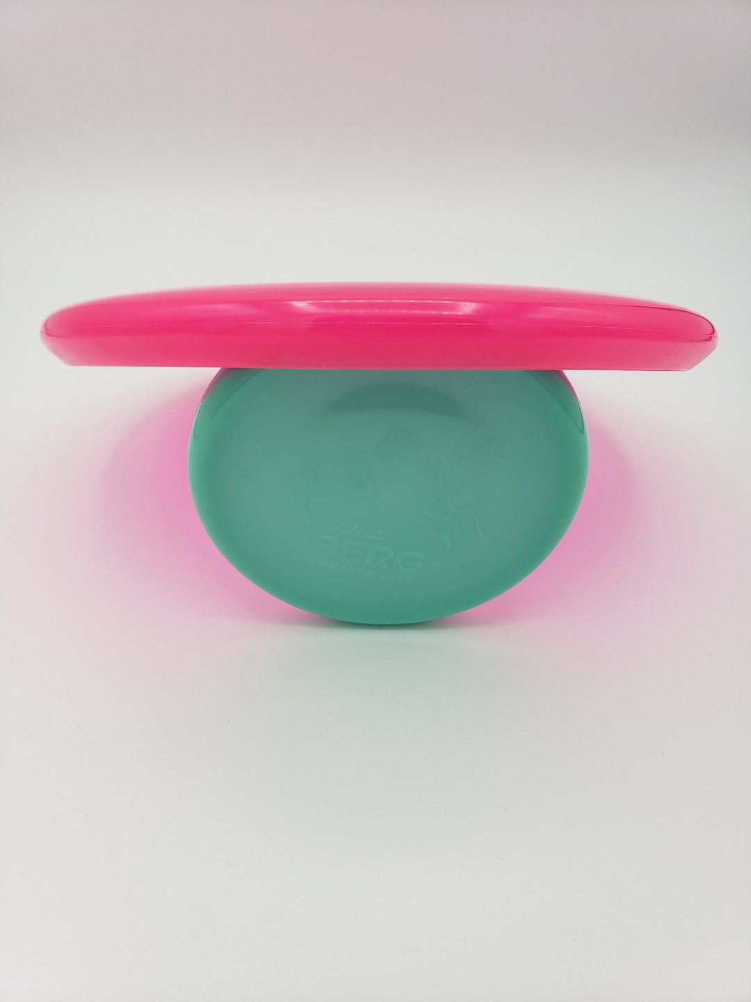 Dynamic Discs Warden premium plastics disc golf disc back view