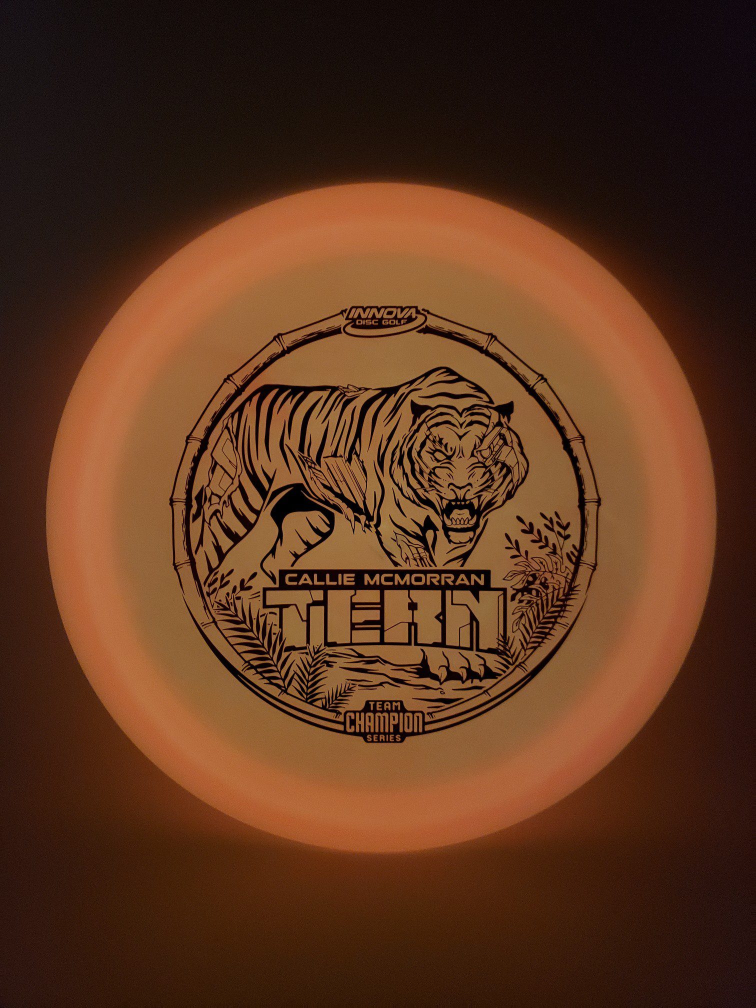 Innova Champion Color Glow Tern Callie McMorran 2021 Tour Series disc golf disc detail view