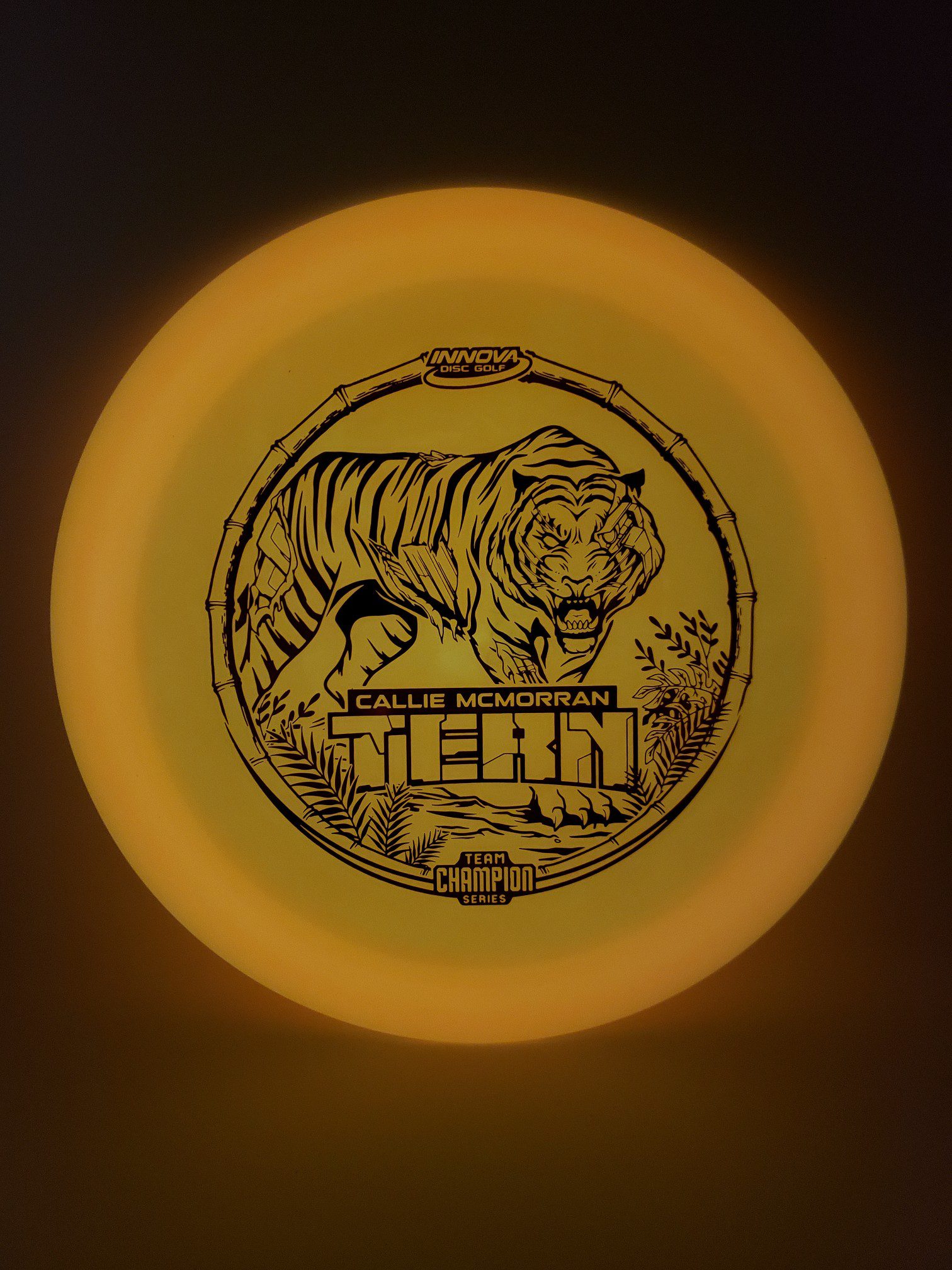 Innova Champion Color Glow Tern Callie McMorran 2021 Tour Series disc golf disc side view