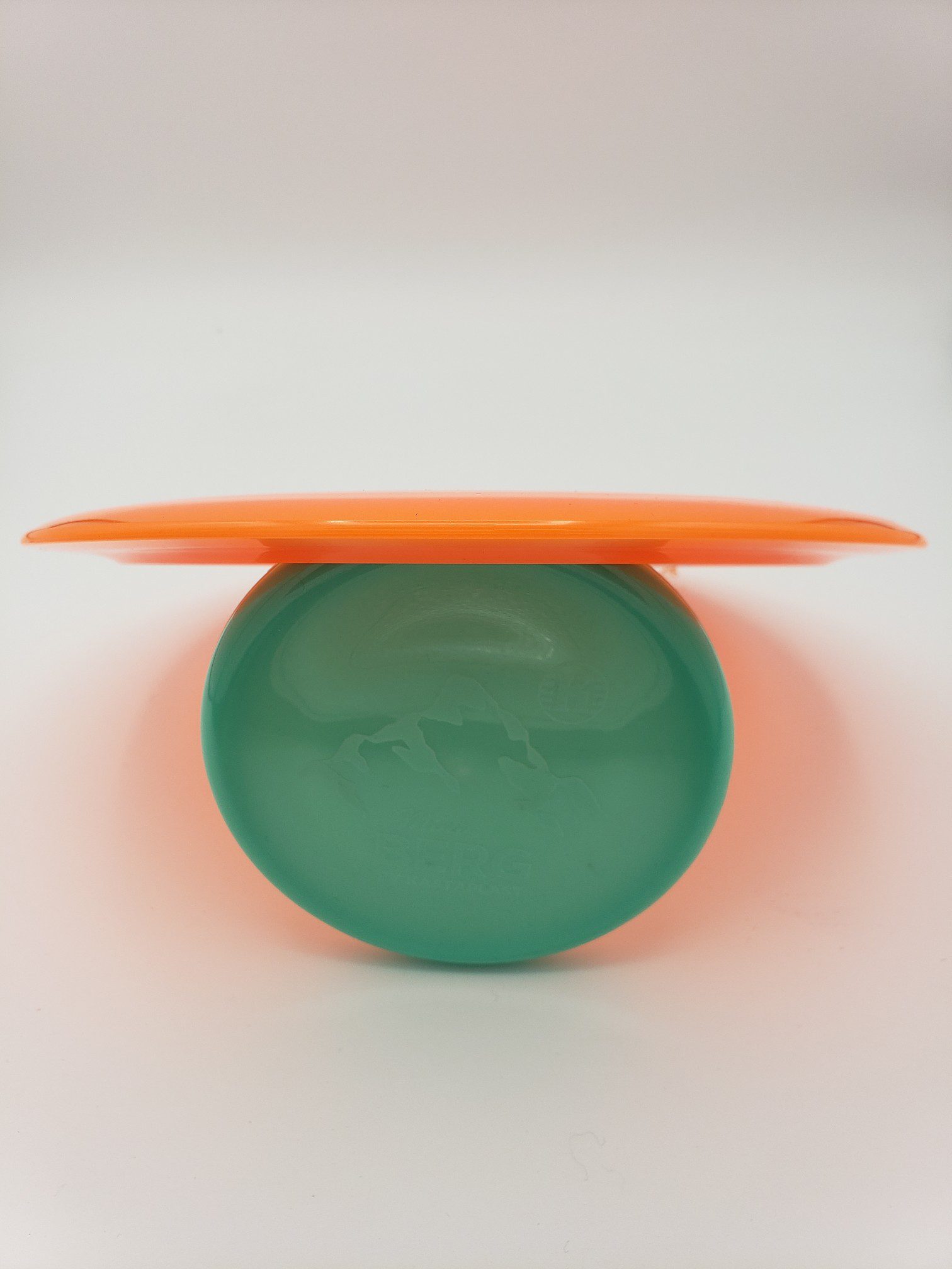 Innova Champion Color Glow Tern Callie McMorran 2021 Tour Series disc golf disc back view