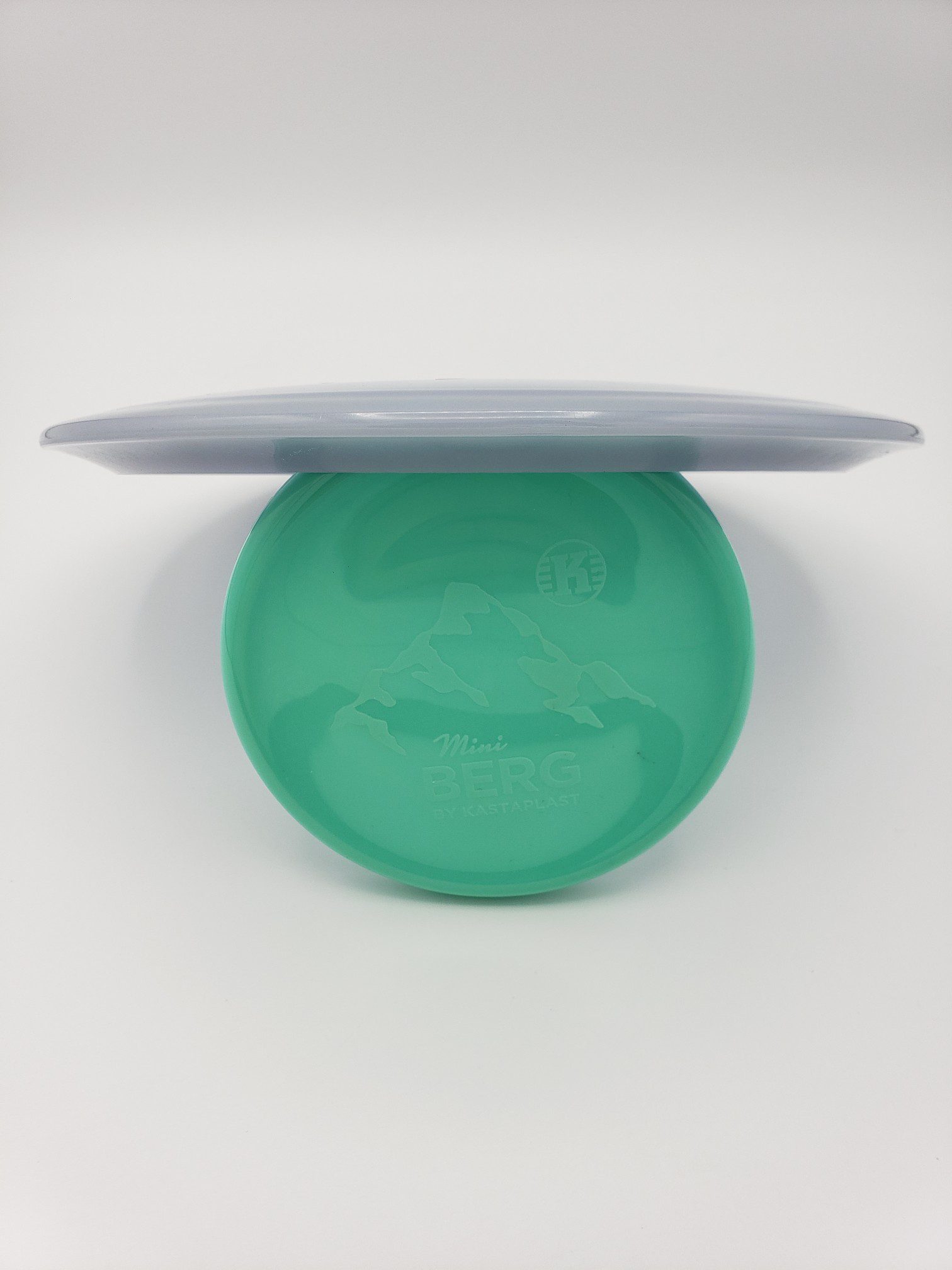 Innova Champion Color Glow Teebird Jen Allen 2021 tour series disc golf disc back view