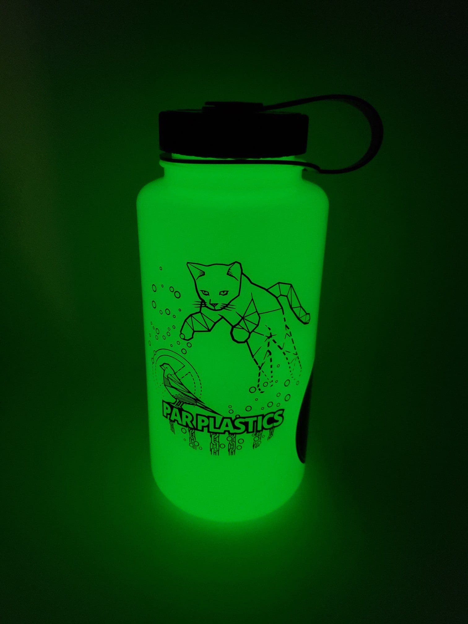 Par Plastics Nalgene Glow in the Dark water bottle disc golf disc front view
