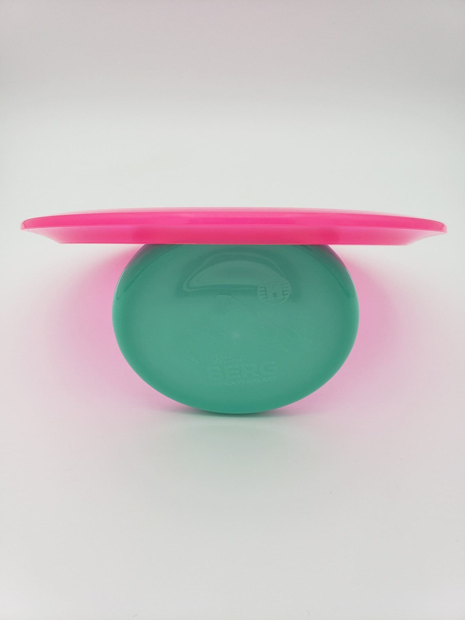 Dynamic Discs LucidFuzion Felon disc golf disc back view