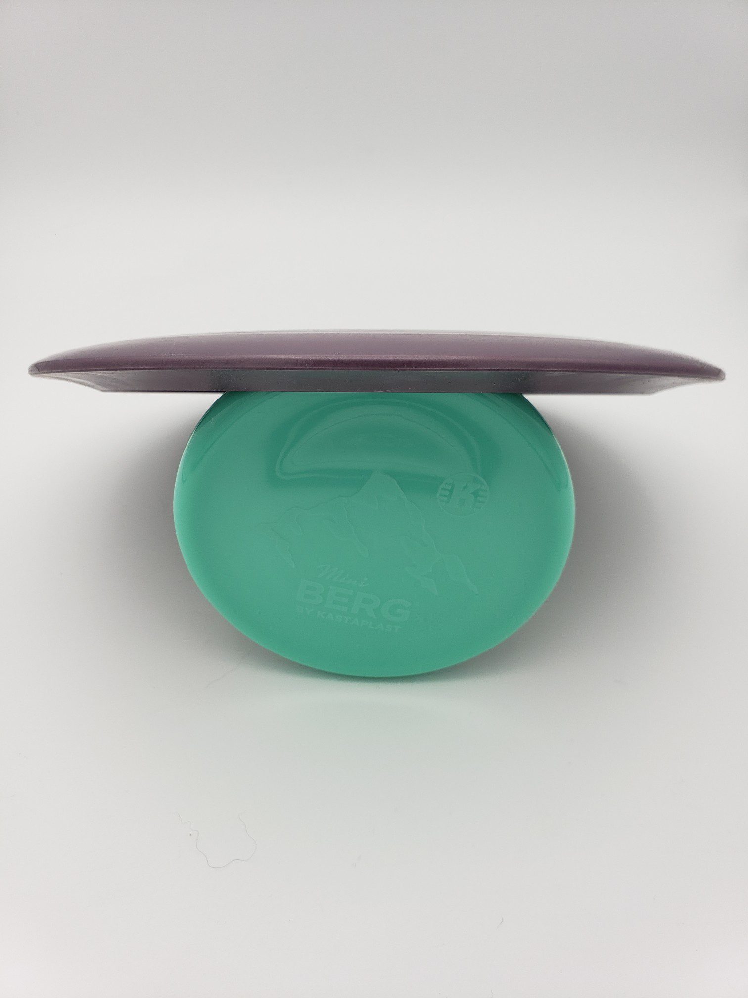 Dynamic Discs LucidFuzion Trespass disc golf disc back view