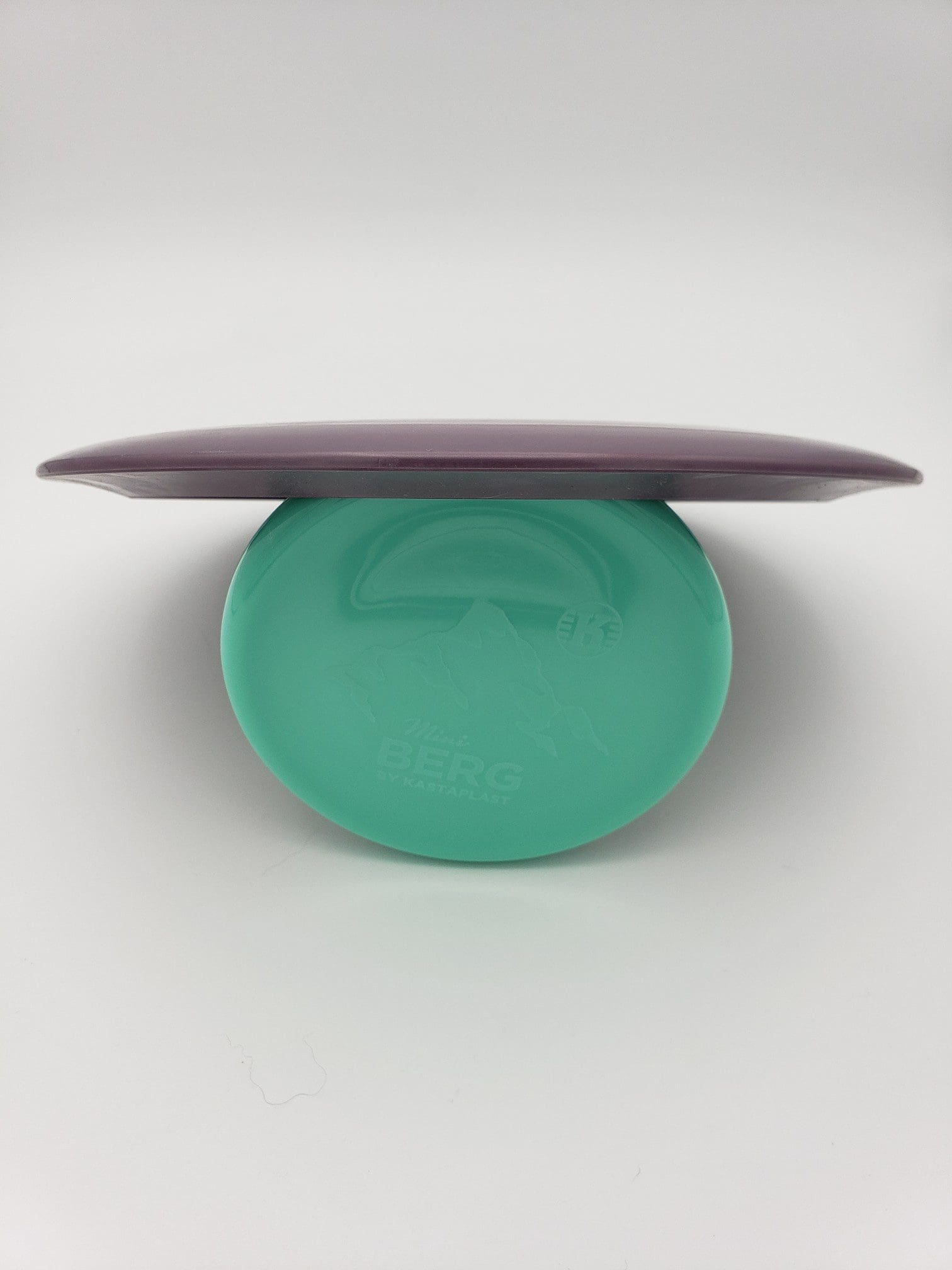 Dynamic Discs LucidFuzion Trespass disc golf disc back view