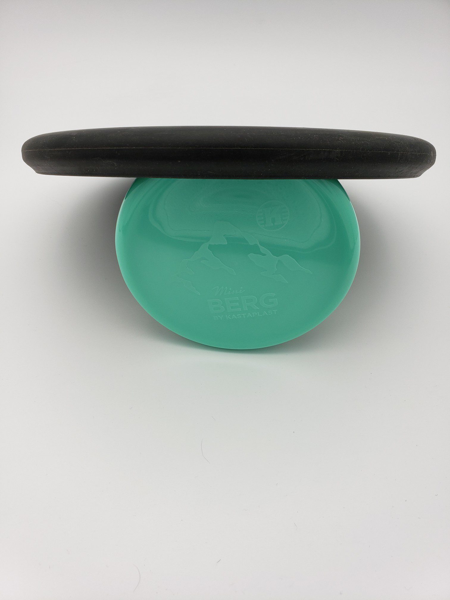 Westside Discs Shield disc golf disc back view