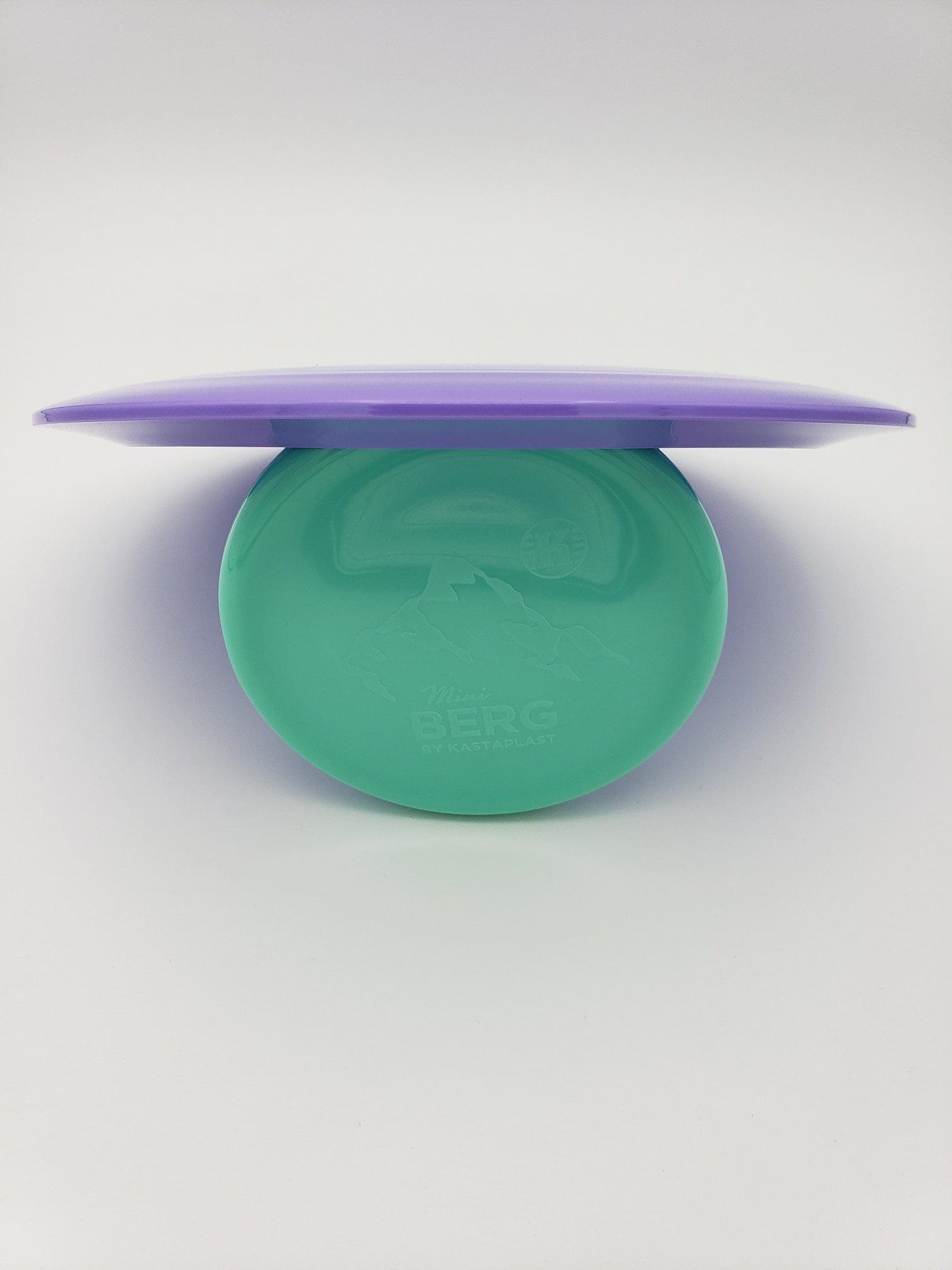 Westside Discs Tournament-X Sword Erika Stinchcomb 2021 Team Series V2 disc golf disc back view
