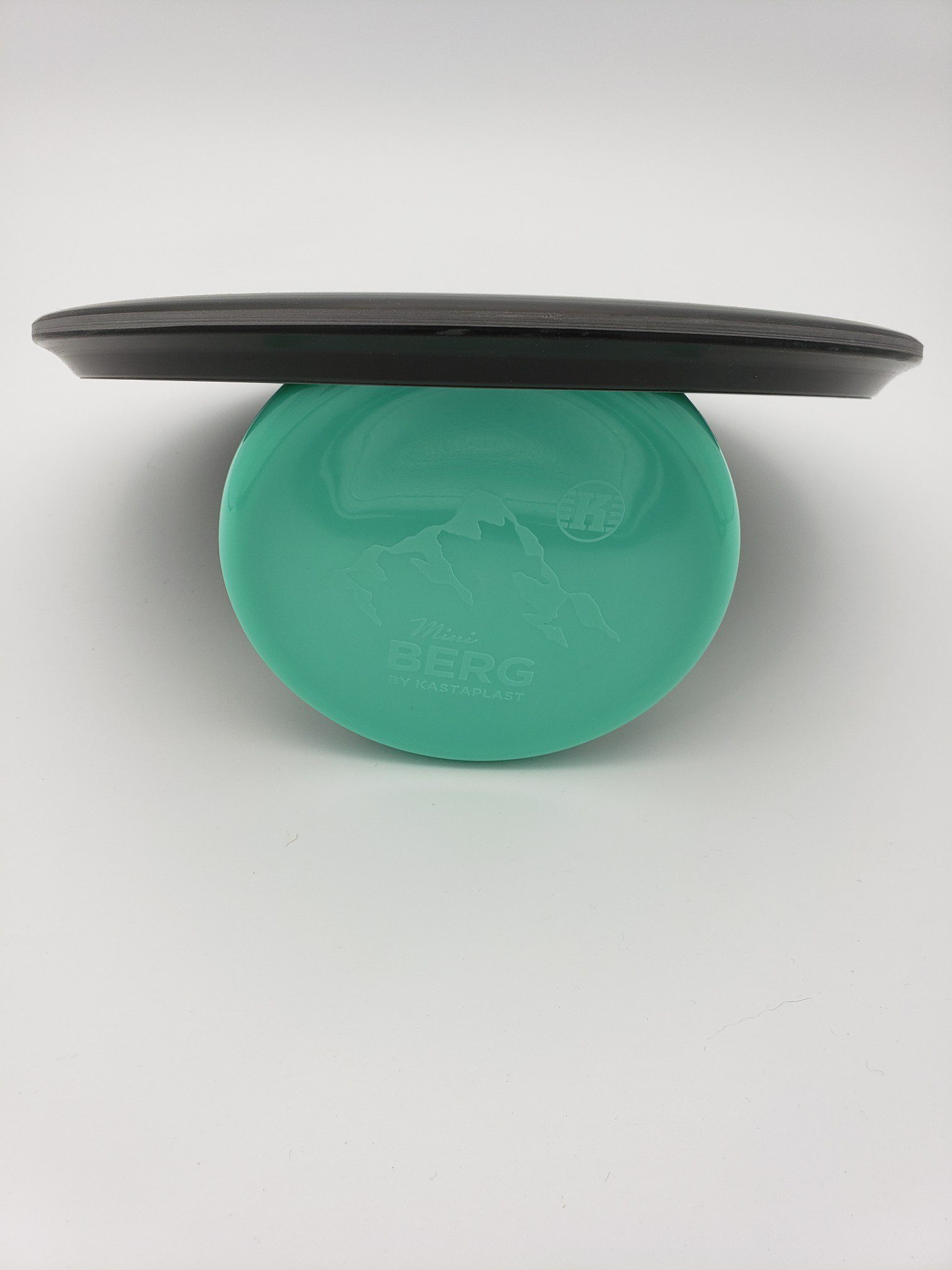 Westside Discs Gatekeeper BT Hybrid Satellite Runner HSCo disc golf disc back view