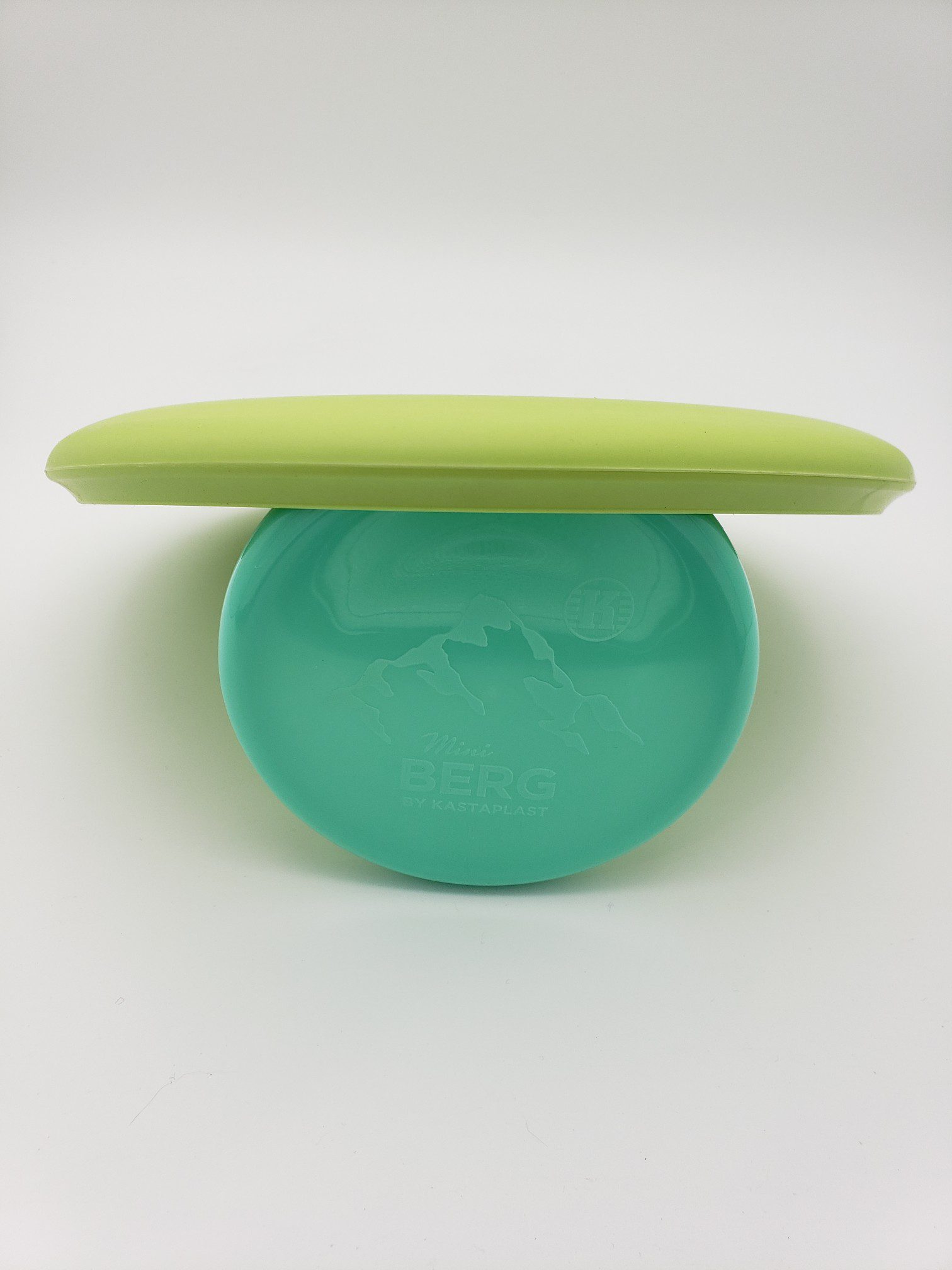 Discraft P-line Magnet disc golf disc back view