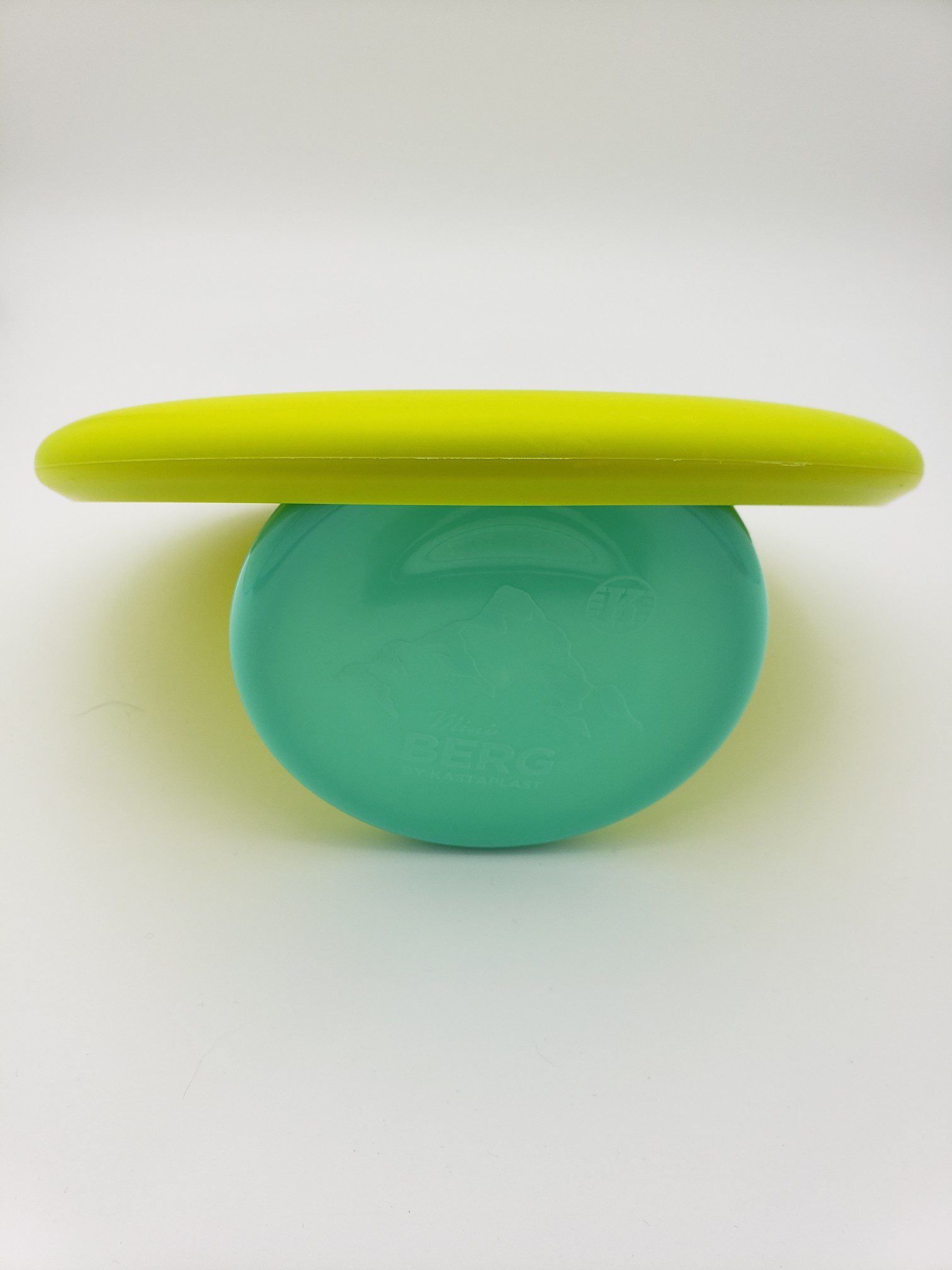 Discraft P-line Challenger SS disc golf disc back view