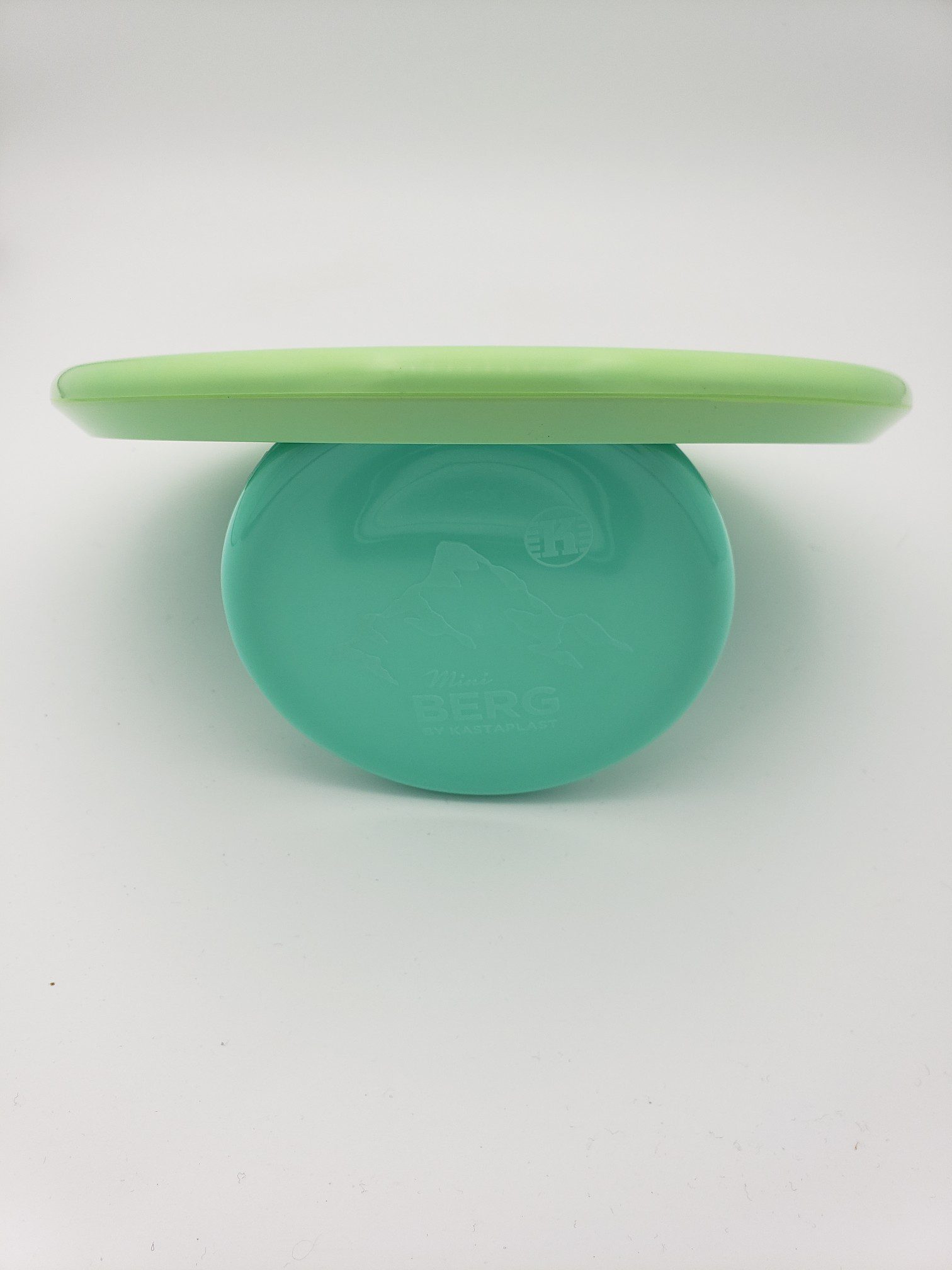 Discraft ESP Zone disc golf disc back view