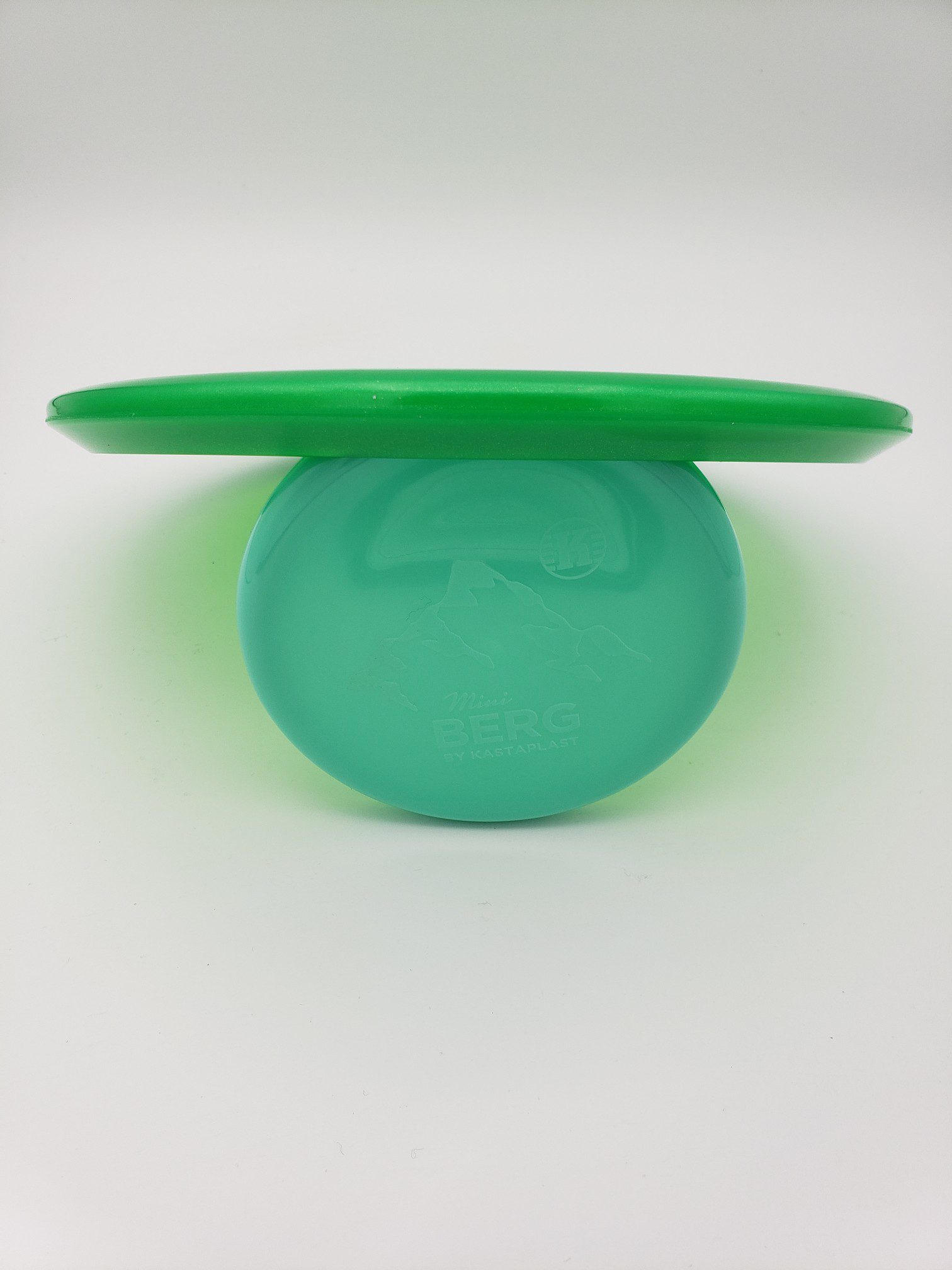 Discraft Tim Barham tour series Buzzz SS disc golf disc back view