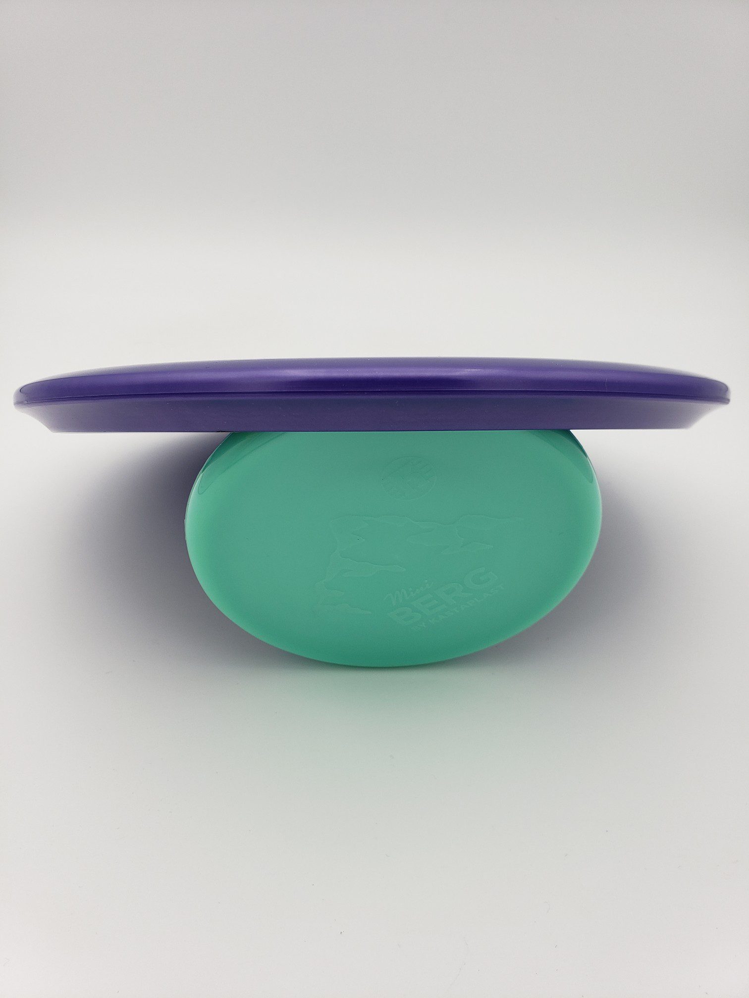 Discraft Big Z Buzzz disc golf disc back view