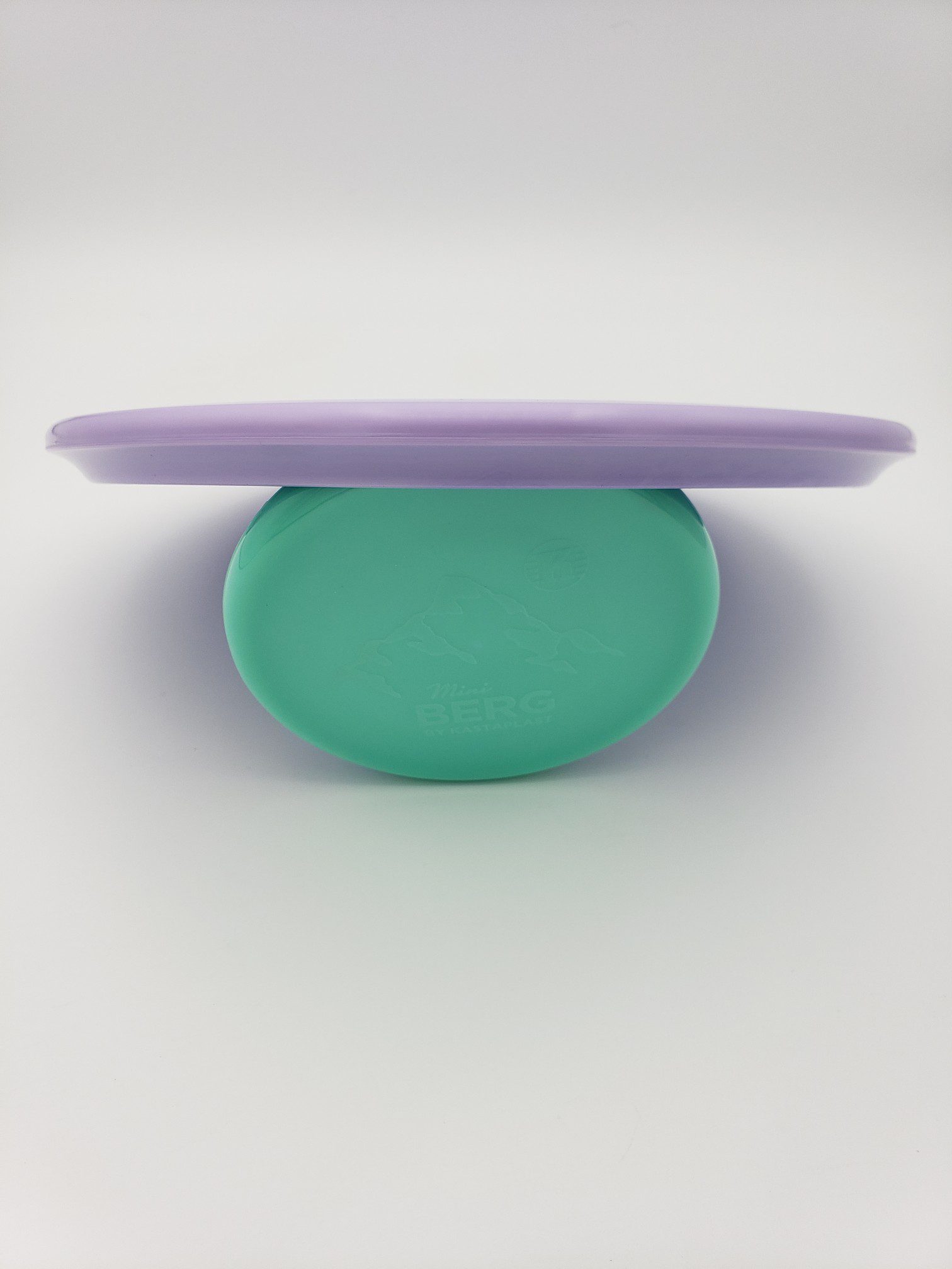 Discraft ESP Buzzz OS disc golf disc back view