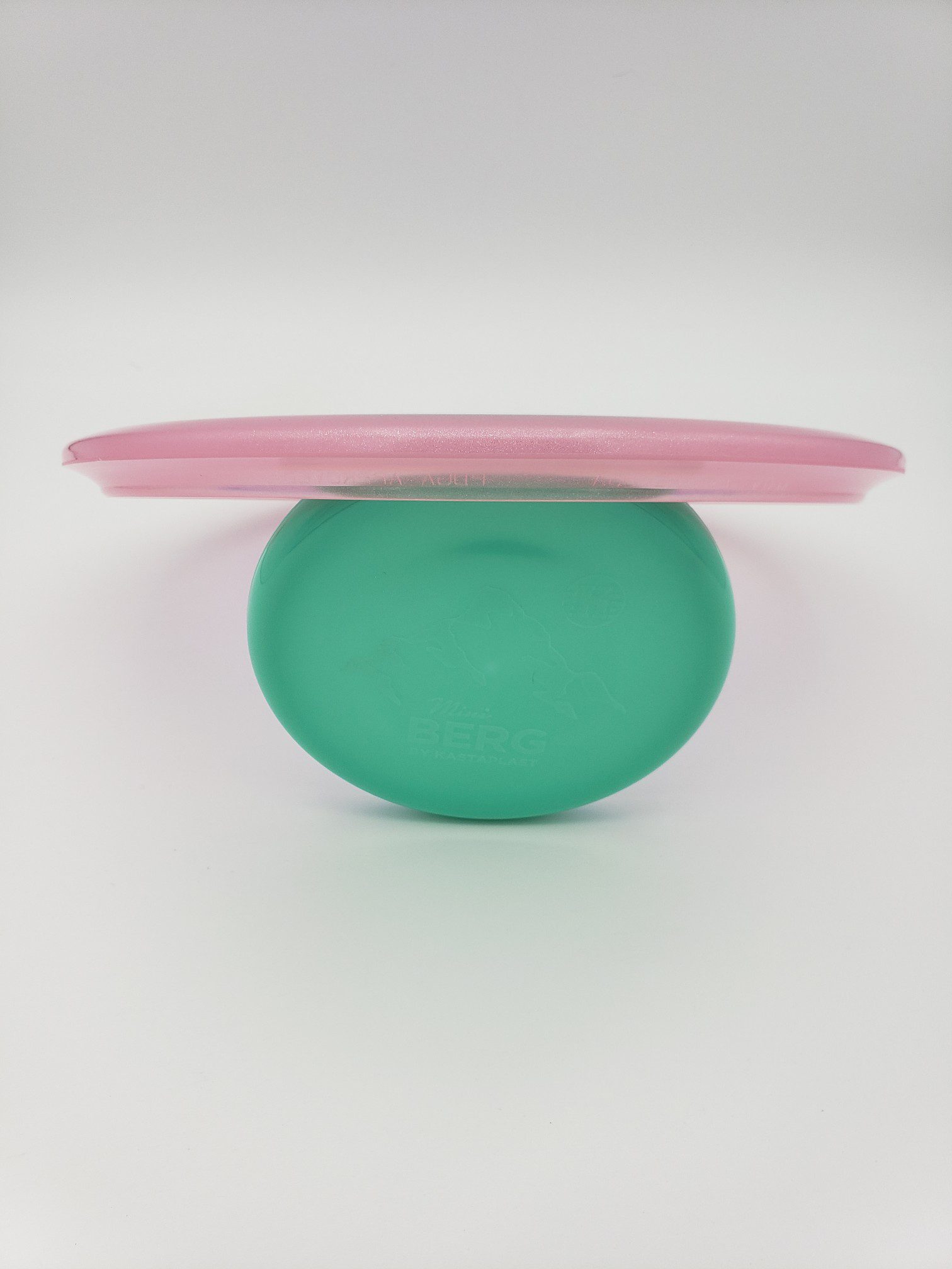 Discraft Adam Hammes tour series Wasp disc golf disc back view