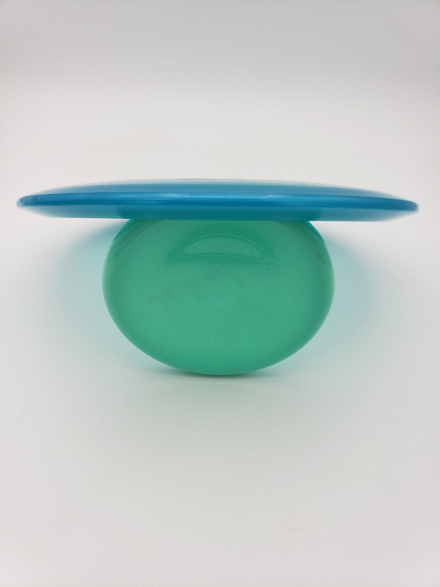 Discraft Z Sting disc golf disc back view