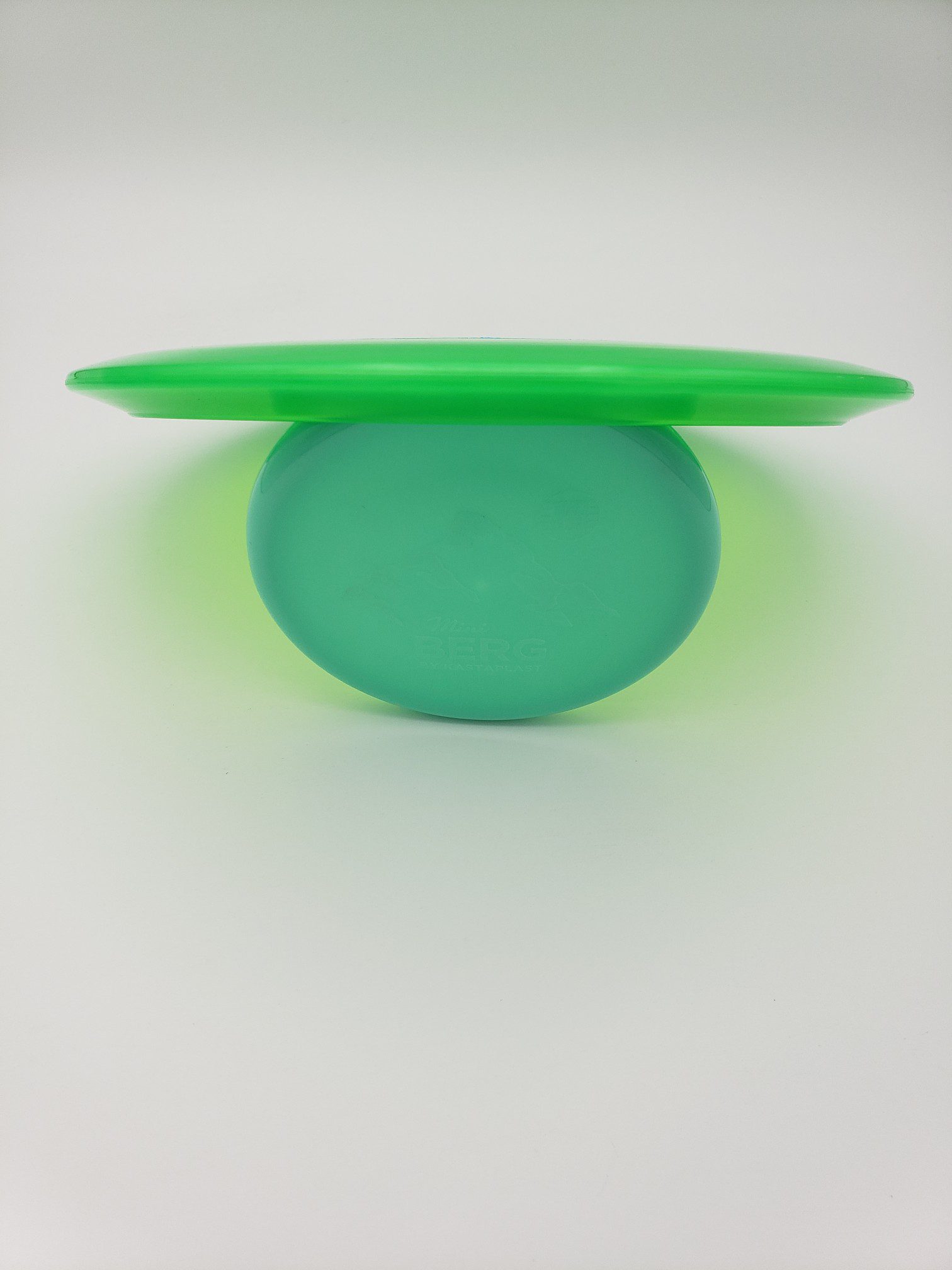 Discraft Z Stalker disc golf disc back view