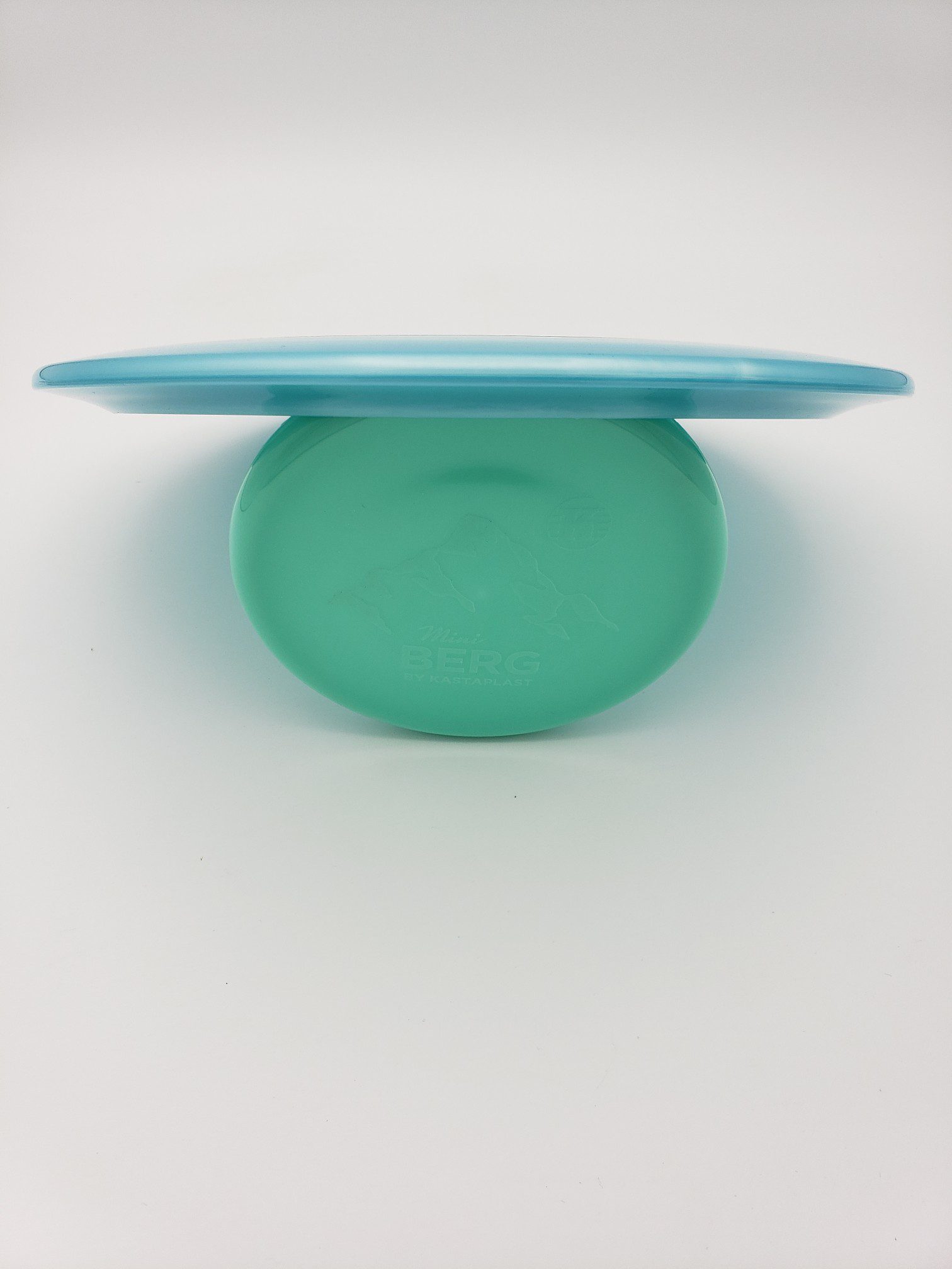 Discraft Big Z Raptor disc golf disc back view