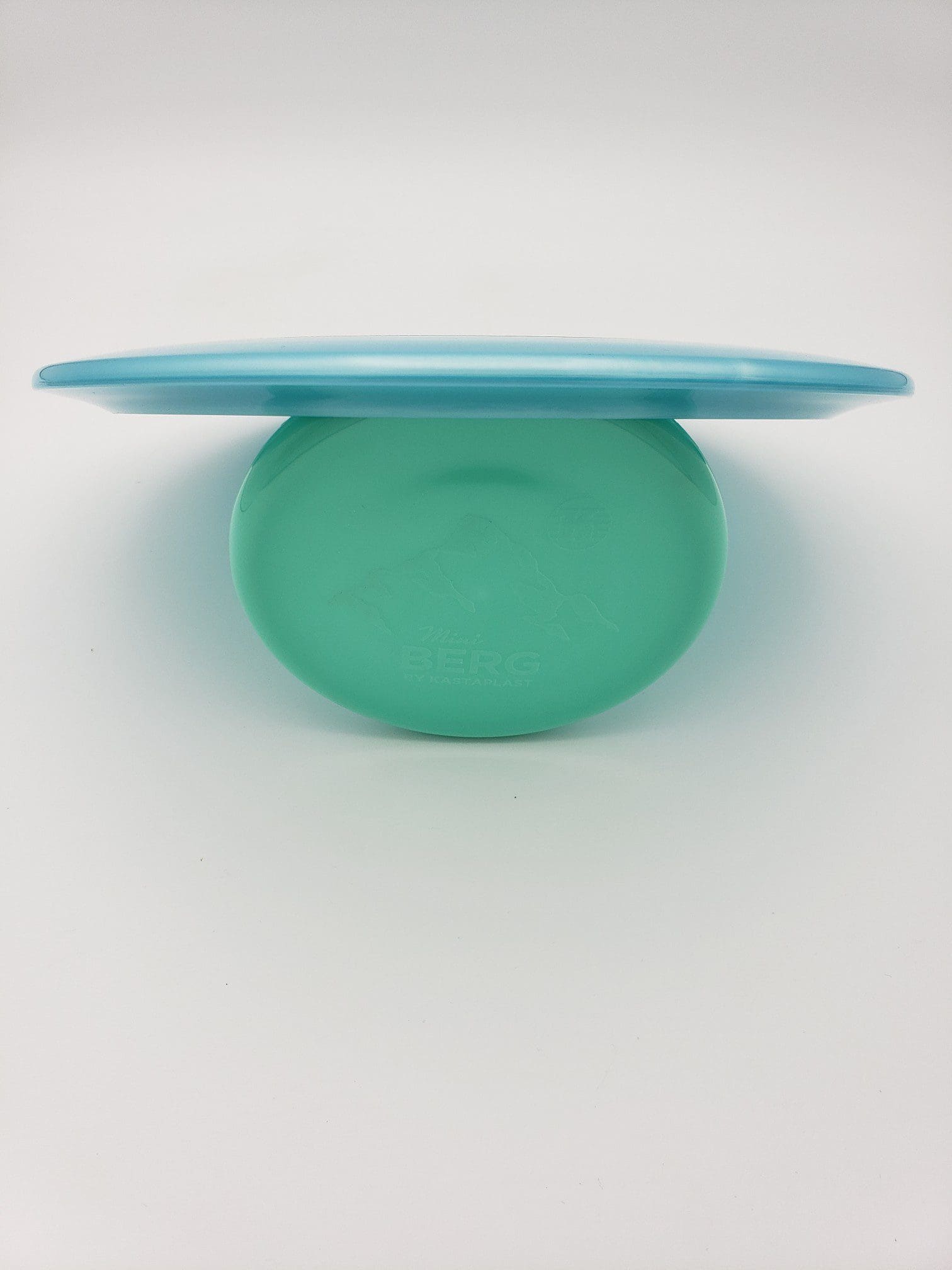 Discraft Big Z Raptor disc golf disc back view