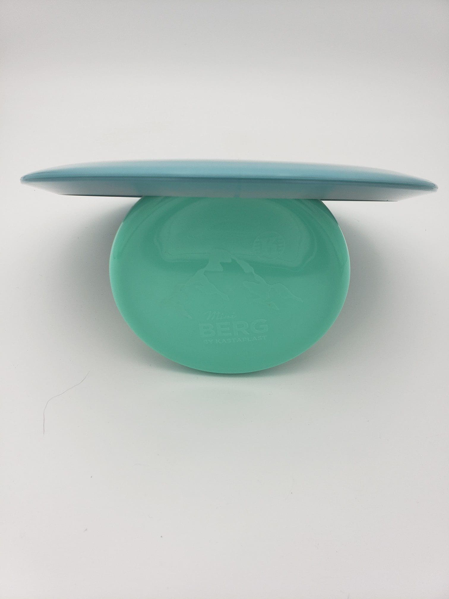 Discraft ESP Avenger SS disc golf disc back view