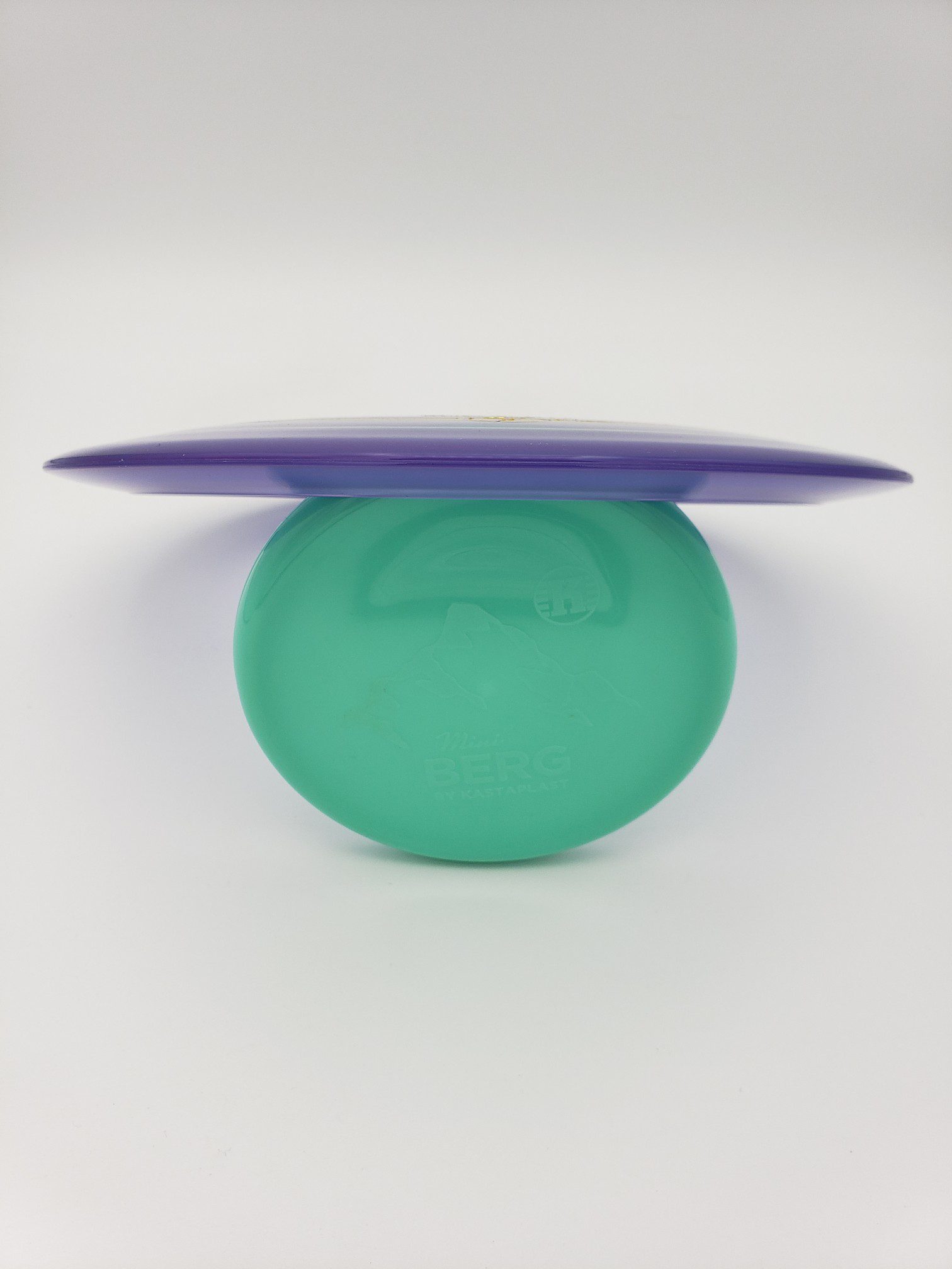 Discraft Z Scorch disc golf disc back view