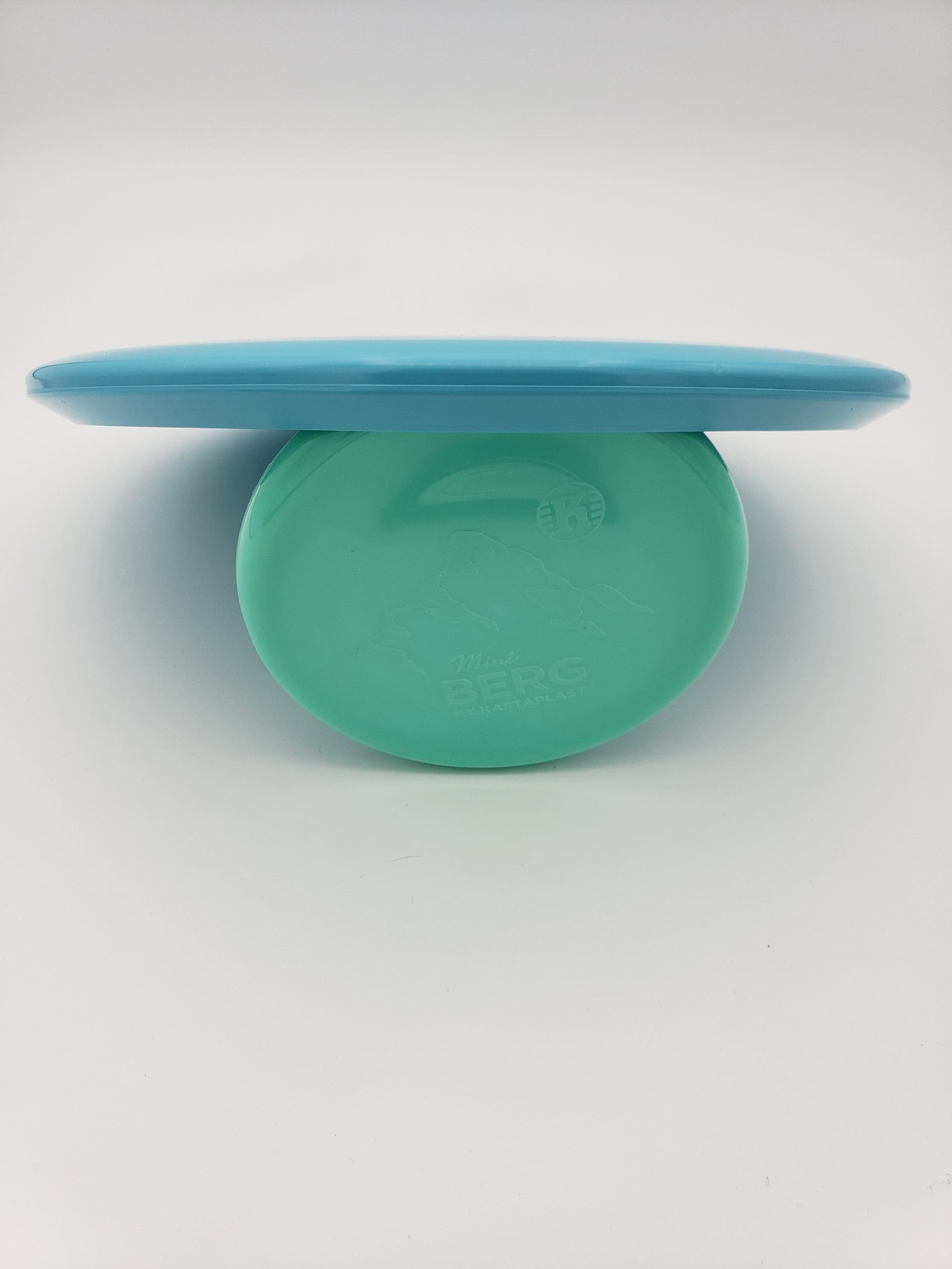 Discraft ESP Buzzz SS disc golf disc back view