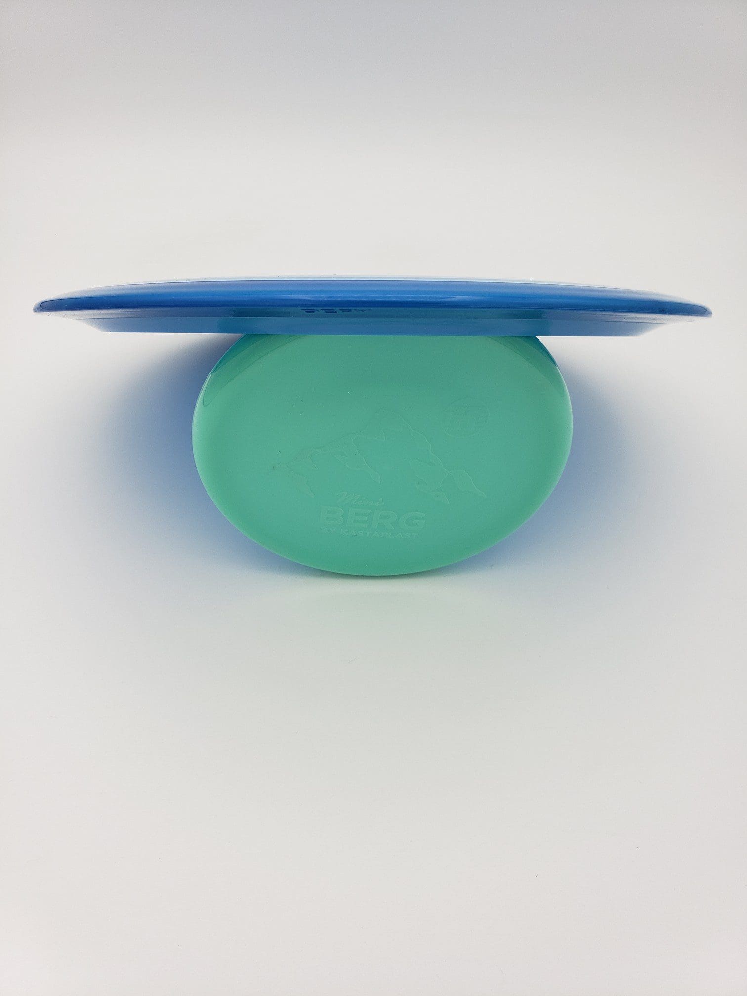 Axiom Neutron Defy disc golf disc back view