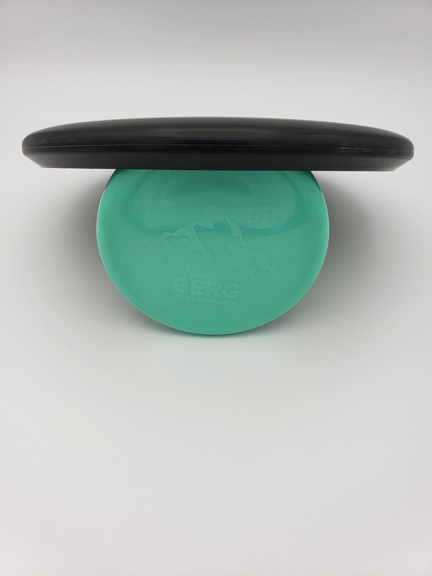 Dynamic Discs Classic Agent Prototype disc golf disc back view