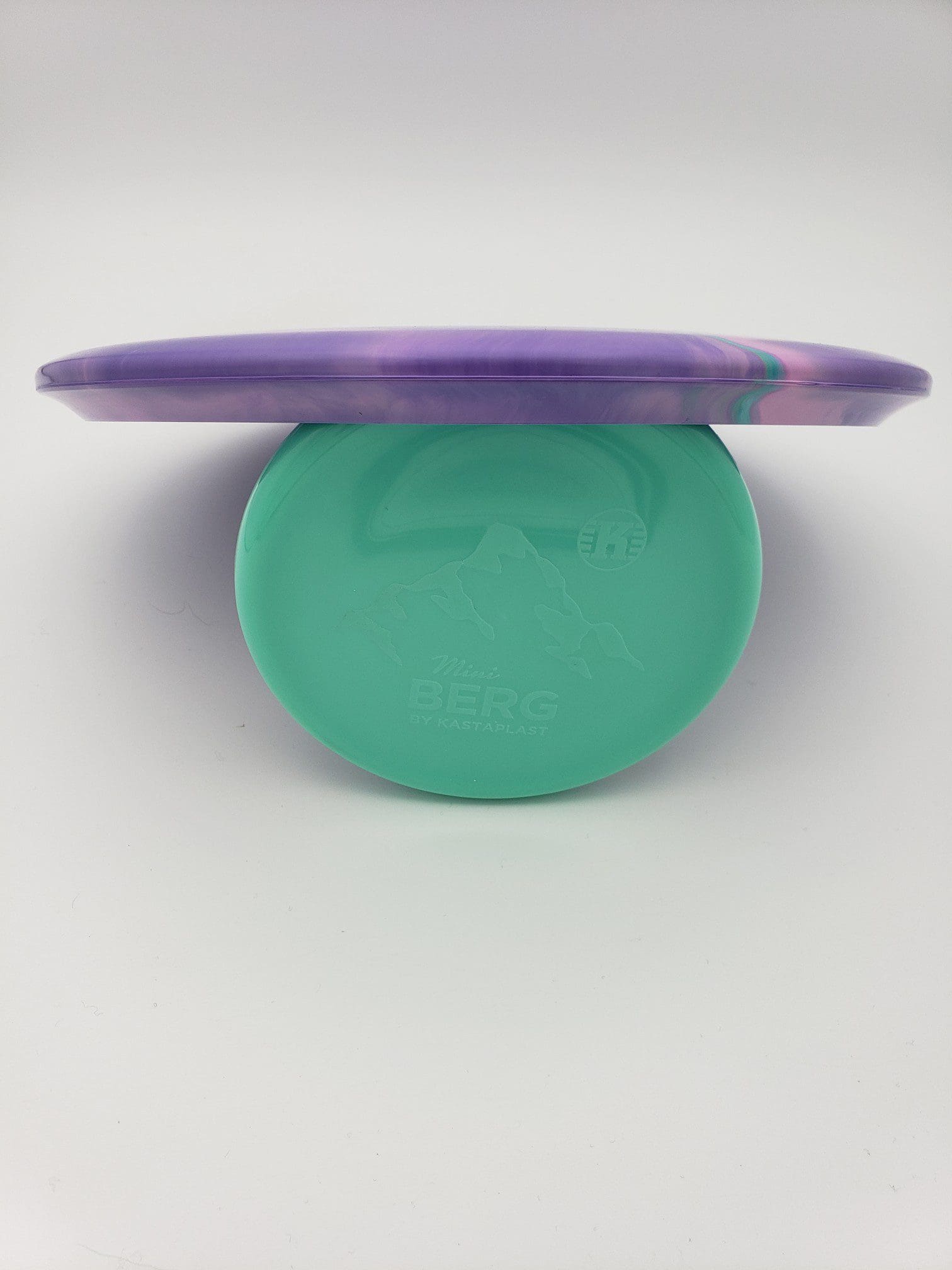 Discraft Chris Dickerson 2022 tour series Buzzz disc golf disc back view