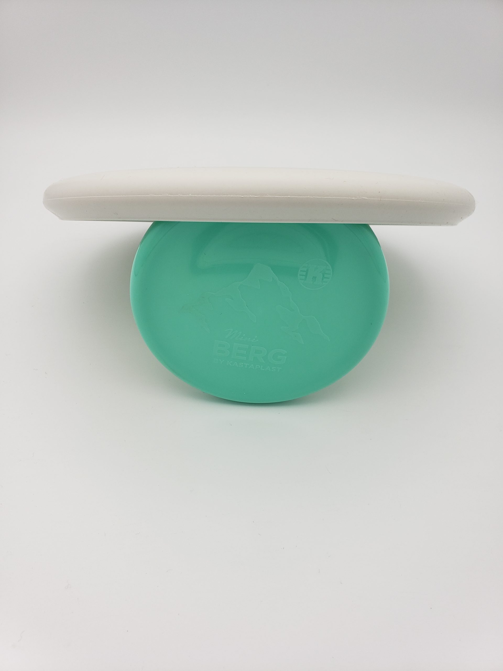 Discraft P-line Challenger OS disc golf disc back view