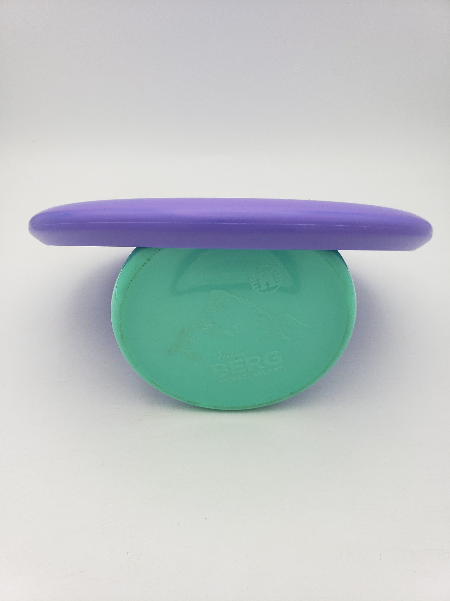 Discmania D-Line P1 Flex 2 disc golf disc back view