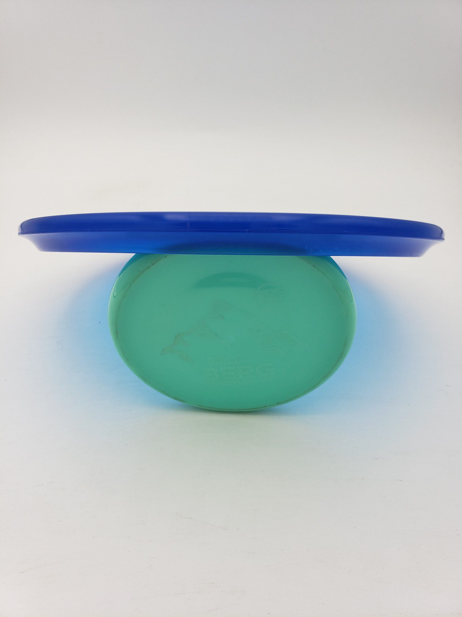 Discraft Z Buzzz OS disc golf disc back view