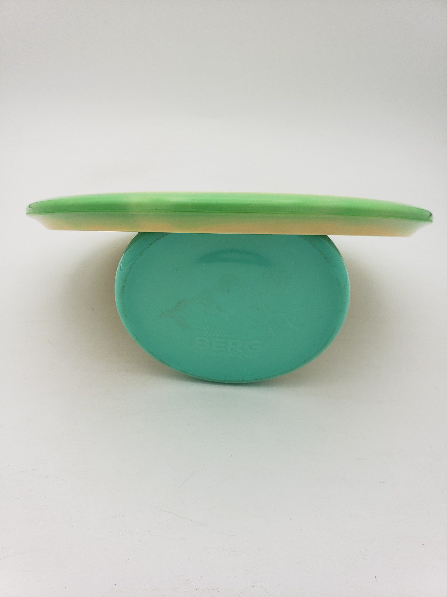 Discraft ESP Buzzz 170-172 disc golf disc back view