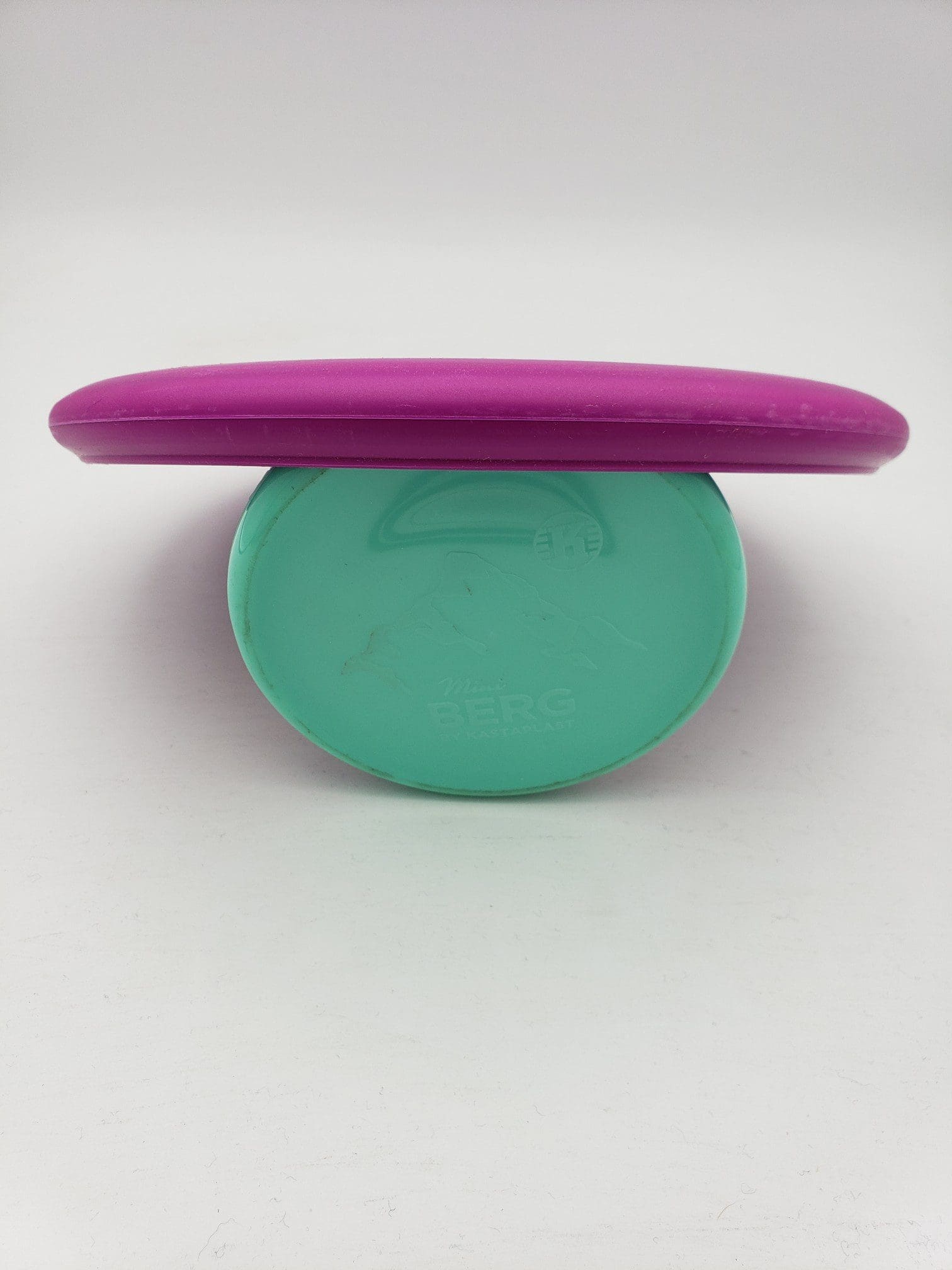 Discraft P-Line Focus disc golf disc back view