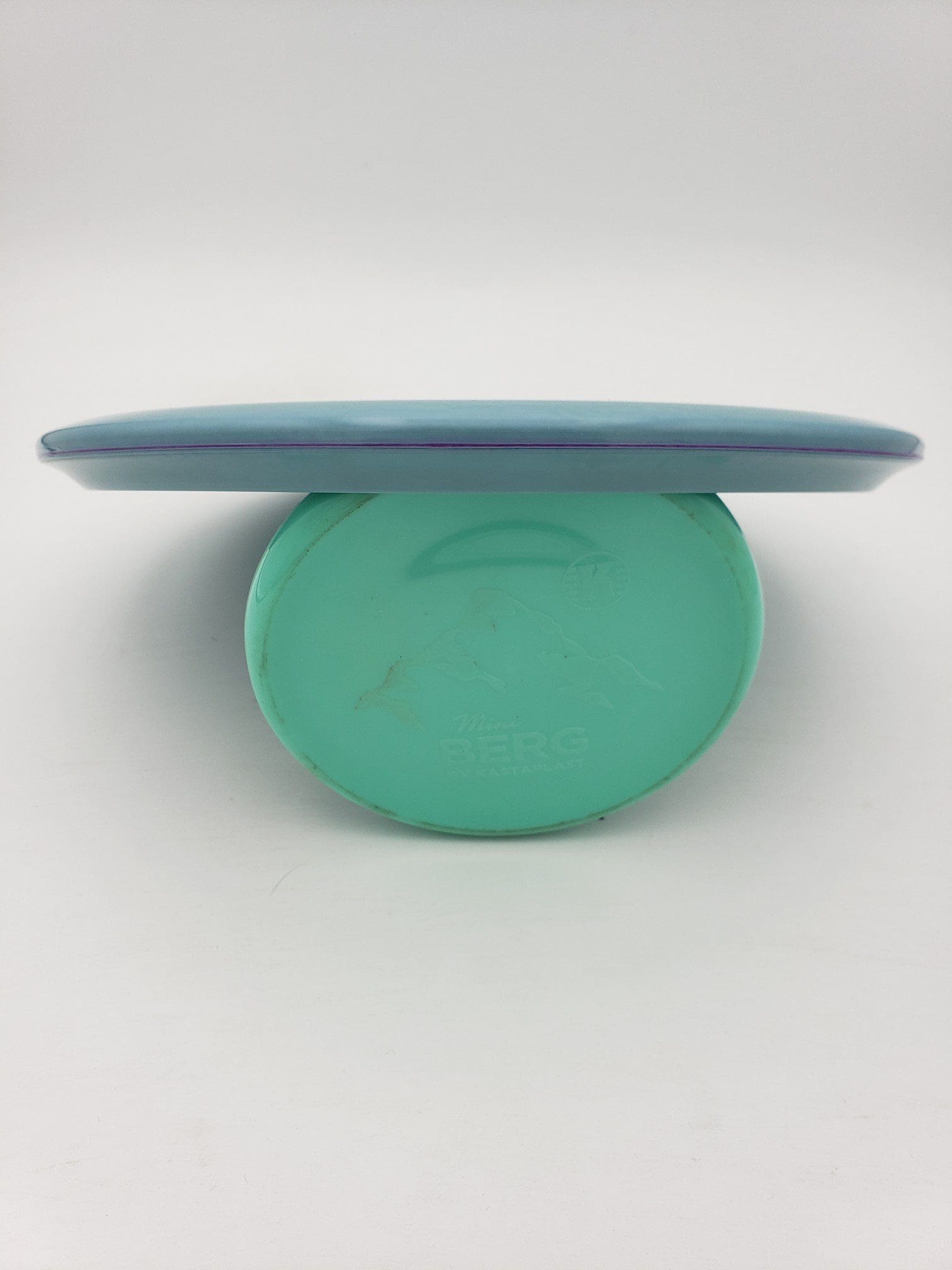 Discraft ESP FLX Buzzz 177 disc golf disc back view