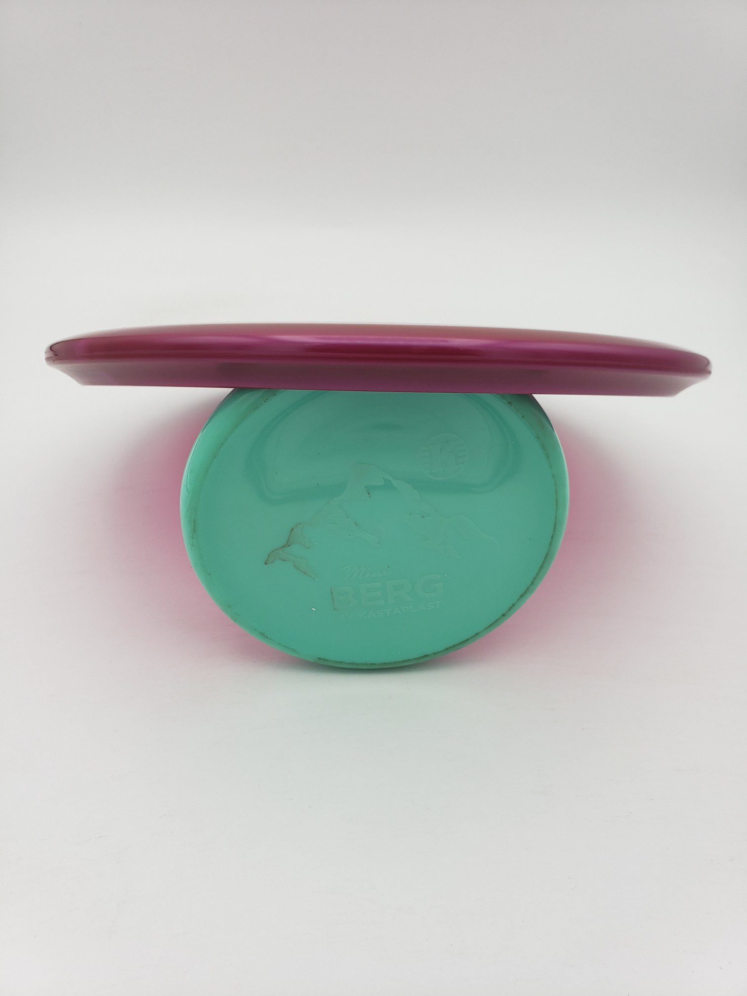 Discraft Z Buzzz 20th Anniversary Edition 173-174g disc golf disc back view