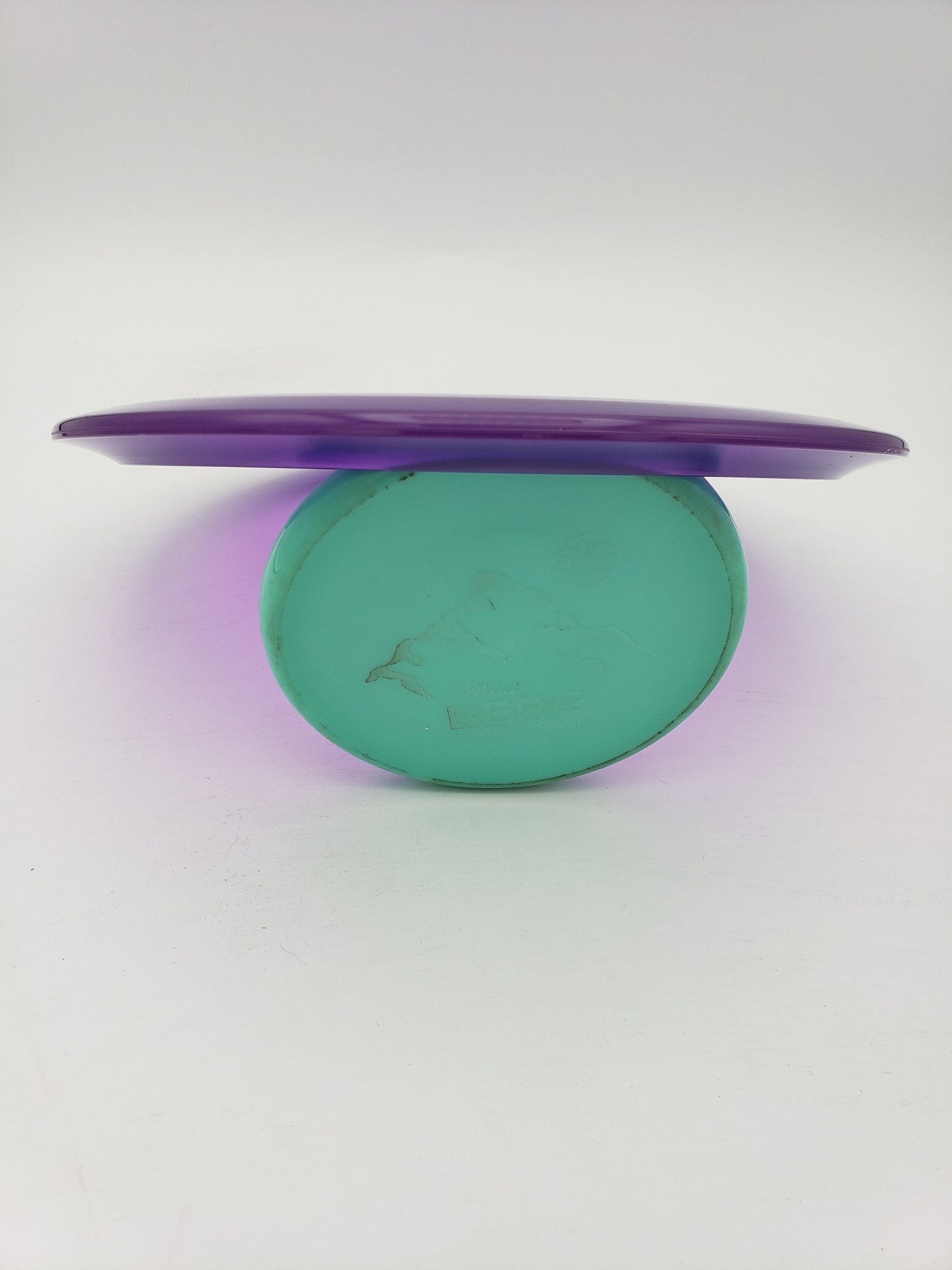 Discraft First Run Z Cicada disc golf disc back view