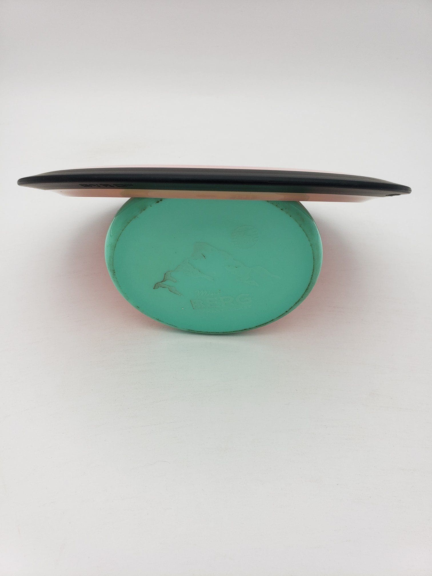MVP Neutron Teleport disc golf disc back view