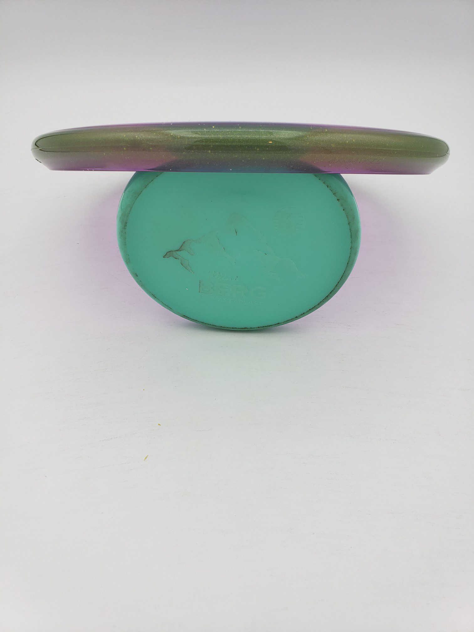 Axiom Prism Proton Soft Envy - Champions Cup Edition disc golf disc back view